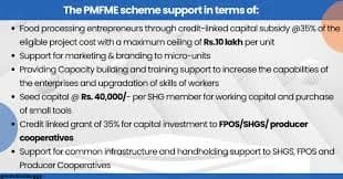 PM FME Scheme: Food Processing Micro Unit Funding Guide