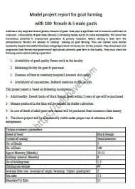 Goat Farming Project Report for Bank Loan Download