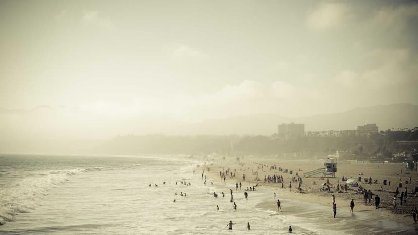 Airlines Asked to Keep Fares Reasonable & Transparent