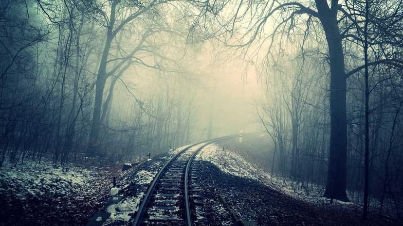 Alkem, Zydus Life, Nomura's Top Picks: Betting on the Rs 12,000 Crore Generic Semaglutide Opportunity