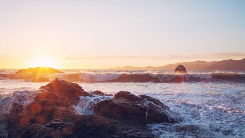 Aloke Singh Appointed as IndiGo's New Chief Strategy Officer