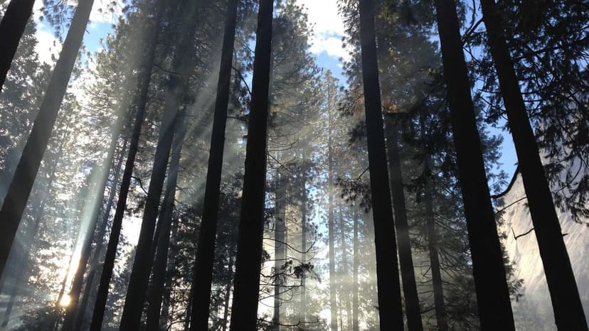 Industry CBI Grills Anil Ambani for 8 Hours in Rs 2929 Crore Bank Fraud Case