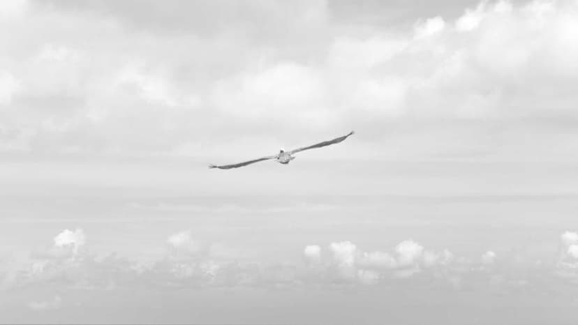 Apple Unifies Its Business Tools With New Apple Business Platform