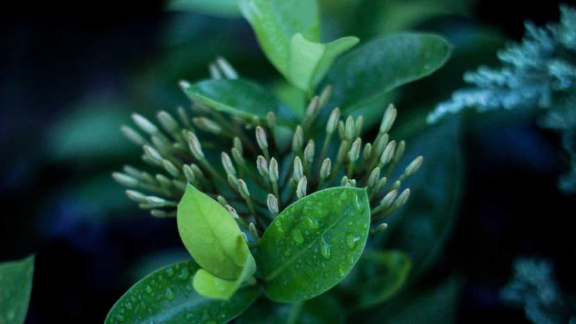 Aramco Asks Asia Buyers For Dual Loading Plans Amid Hormuz Disruption