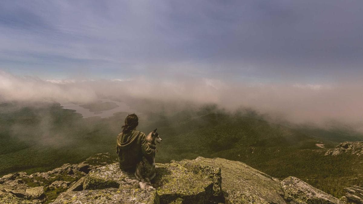 Arbitrage Funds: Navigating Rising Costs and Shifting Investment Landscapes