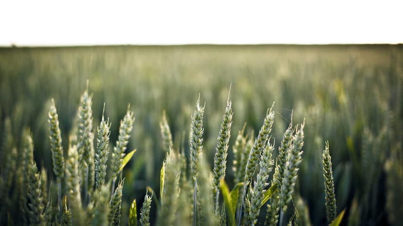 Avantel Bags Rs 460 Crore Contract for Indian Railways Real-Time Train Tracking System