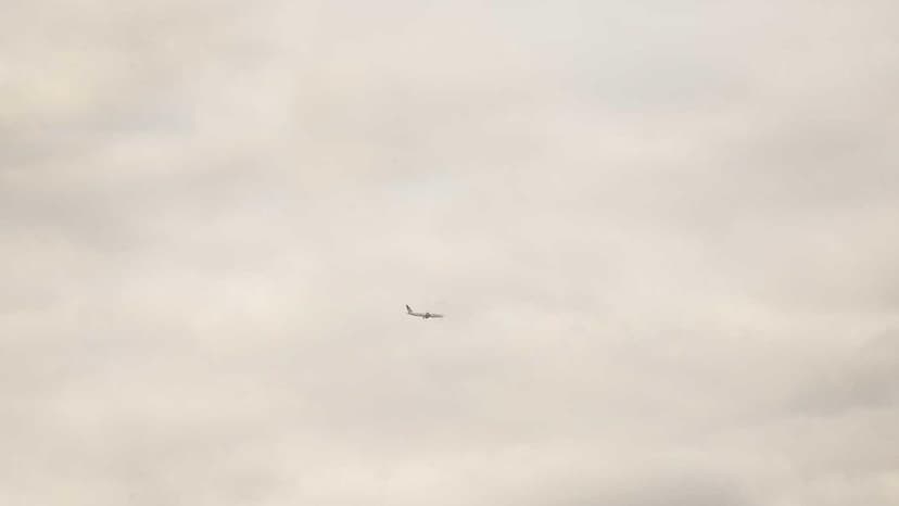 We Did It Together: Why Bosses Credit Themselves But Blame Employees