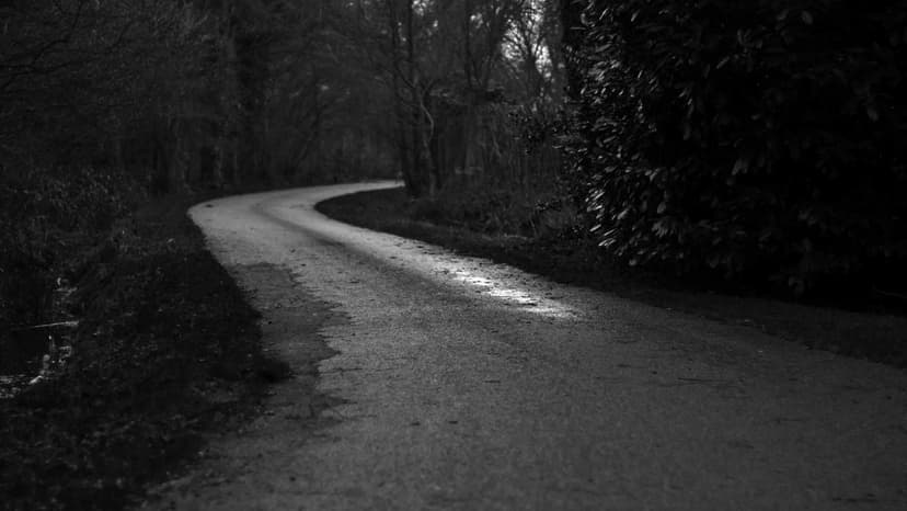 Brandwagon Ayurveda Elevated To Global Luxury