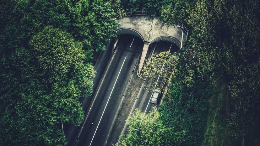 CII Seeks Faster Fuel Shift, Gas Allocation Transparency