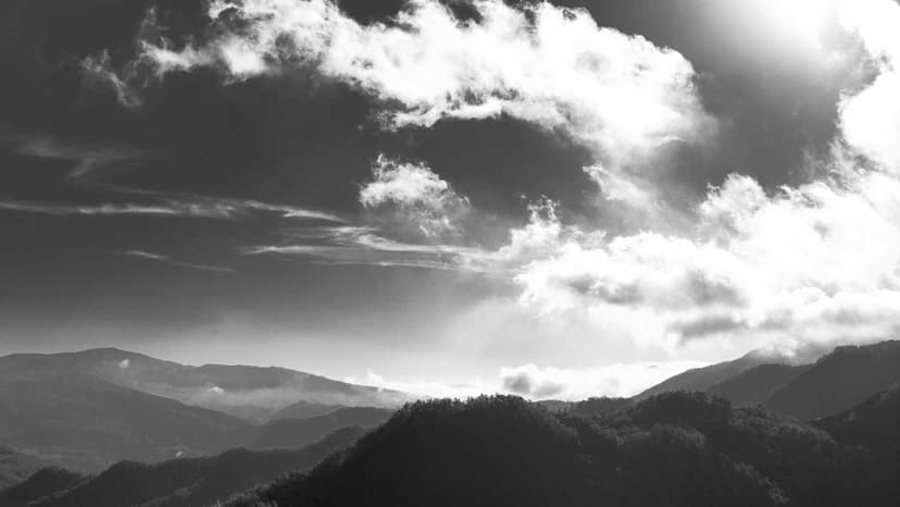 Philippe Laffont's $70 Billion Coatue Looks to Launch New AI Tech Fund