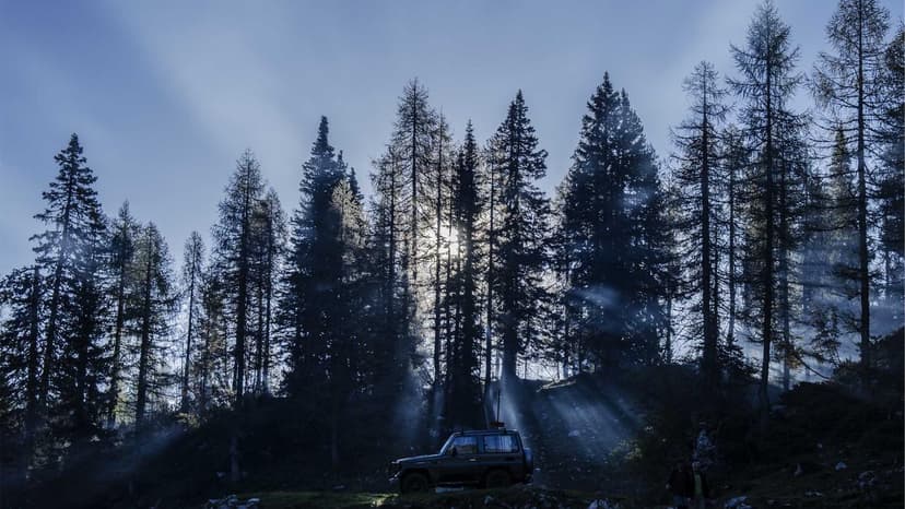 The Finance Smart Trap: Why Knowledge Doesn't Always Make You Rich