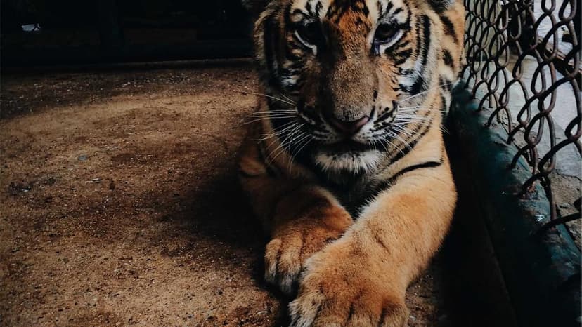 Foreign Investors Dump Rs 88,000 Crore in March; 2026 Outflows Cross Rs 1 Lakh Crore