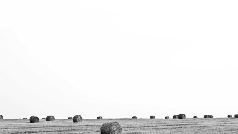 Fuel Duty Cuts May Punch Rs 1.7 Lakh Crore Hole In Revenues