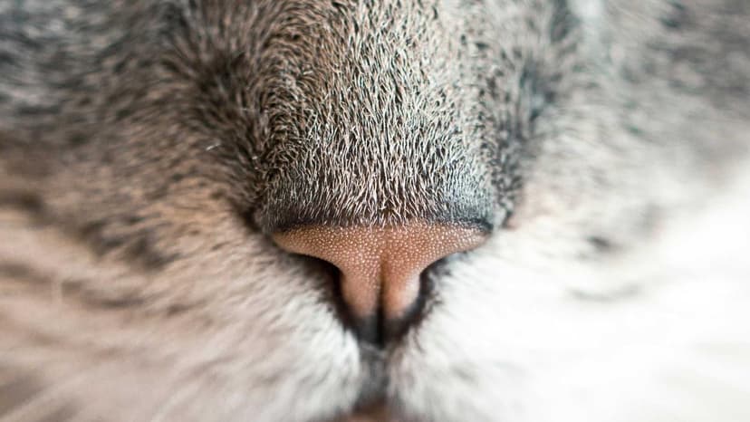 Gold Extends Fall After Worst Week In 43 Years: More Pain Or Time To Buy The Dip?