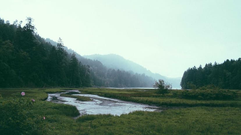 Why Gold And Silver Prices Are Rising Today: Gold Price Surges 3.5% While Silver Jumps Over 5% - But Is The Gold Price Surge A Short-Term Bounce Or A Long-Term Bullish Trend?