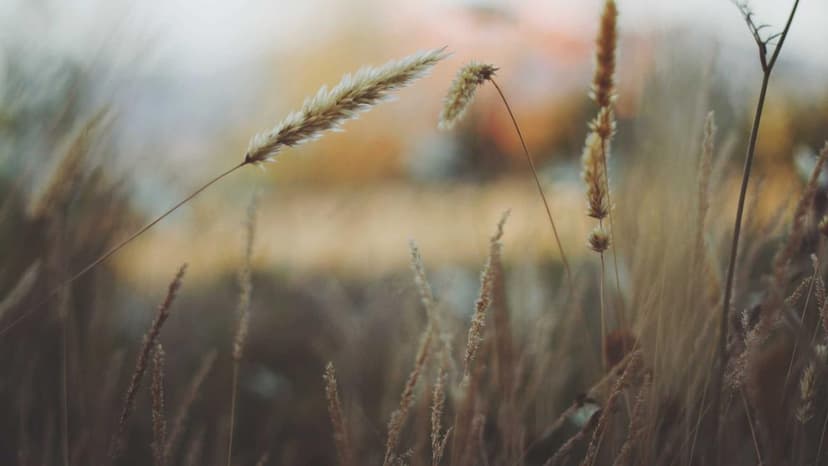 Hidden Gold IRA Costs: Spreads, Storage Fees, and Custodian Charges Explained Simply