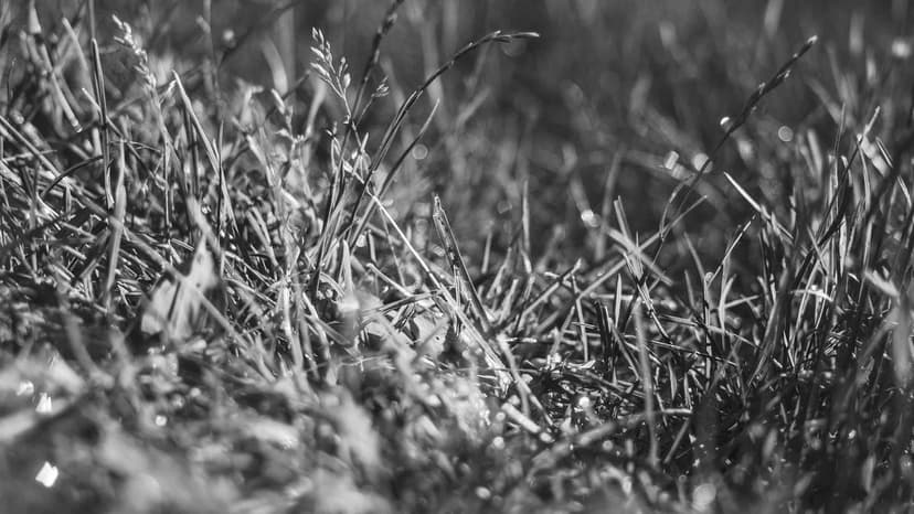 All High Schools To Have Broadband Internet Connection In 2-3 Years: Dharmendra Pradhan