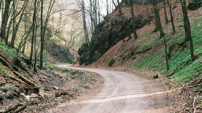 Honda and Sony Halt Joint EV Development Project