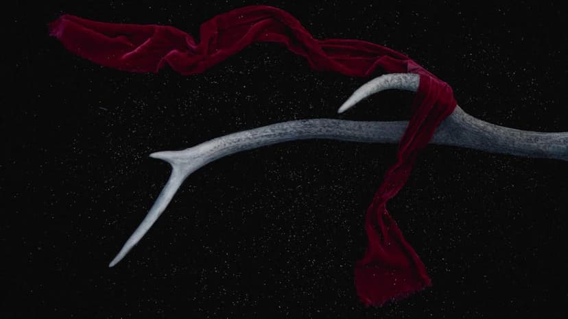 HPCL Hikes Power Petrol Prices By Rs 2 In Mumbai; Normal Petrol Prices Unchanged