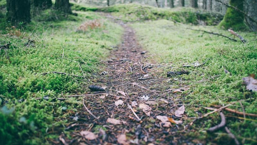 India Eyes Alternative Energy Supplies Amid Strait of Hormuz Disruption