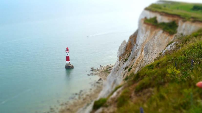 India and UAE Focus Energy on Economy and Hormuz Security