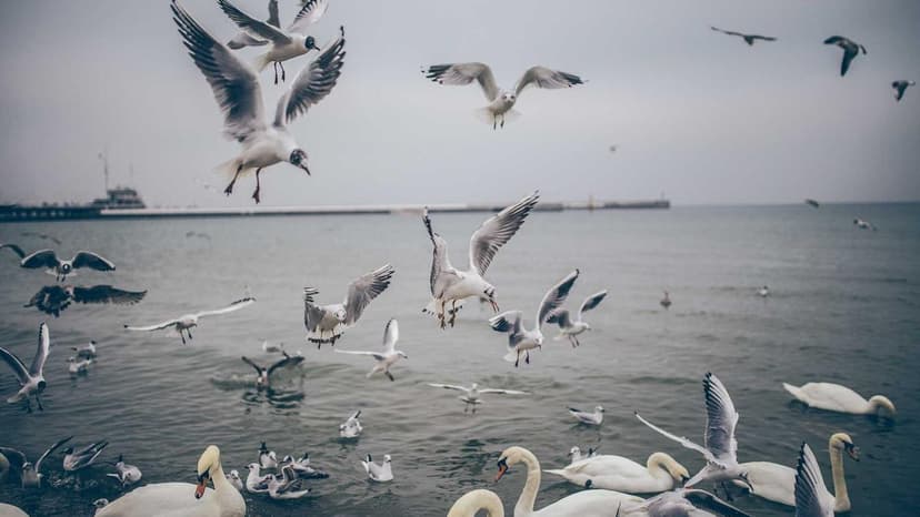 India's Forex Reserves Fall $7.05 Billion to $709.76 Billion as of March 13