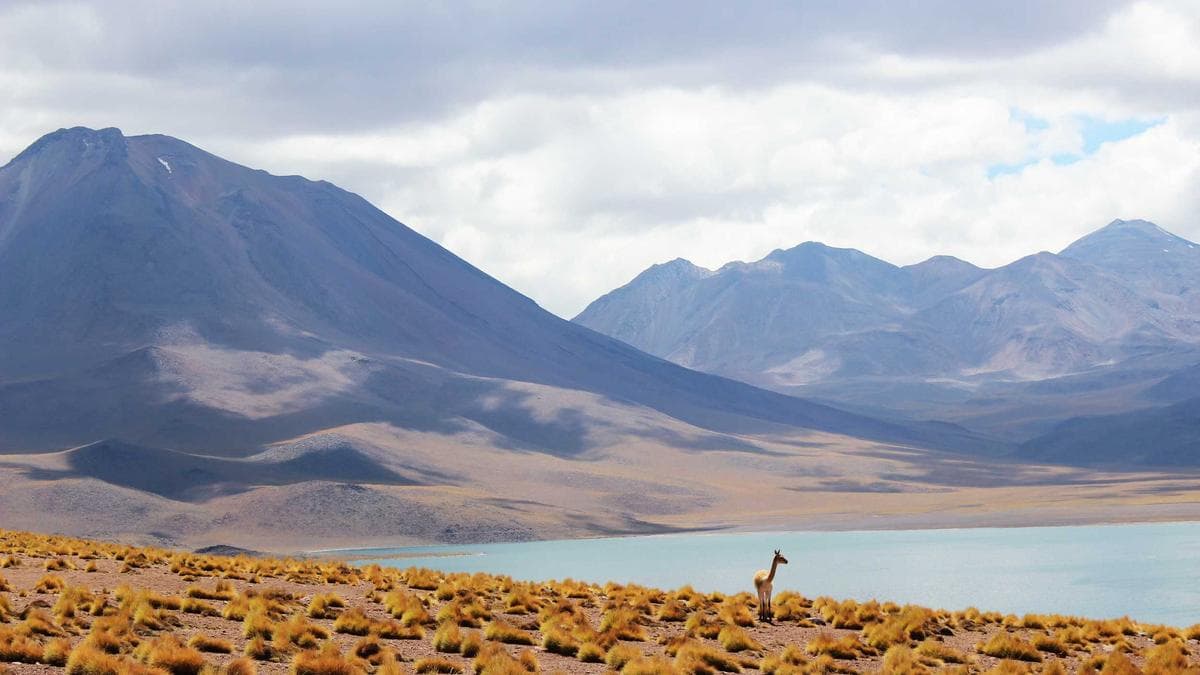 Breathe In, Breathe Out: Why Investors Should Stay Calm Amid War-Driven Market Volatility