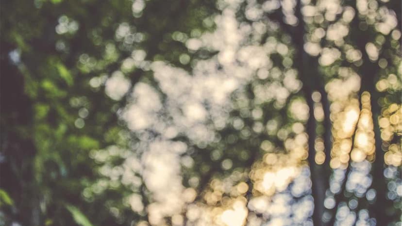 Iran-Israel Tensions: Navigating Choppy Markets on Monday - Investor Guidance