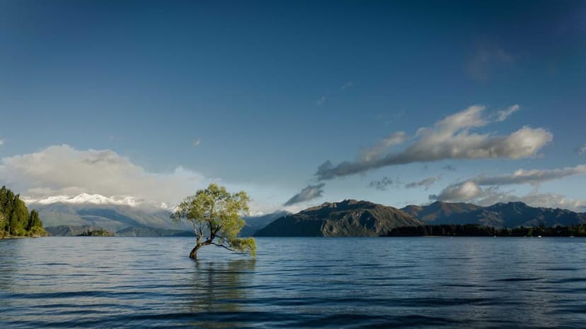 Iran Threatens To Set Regions Oil And Gas On Fire If Energy Infrastructure Attacked