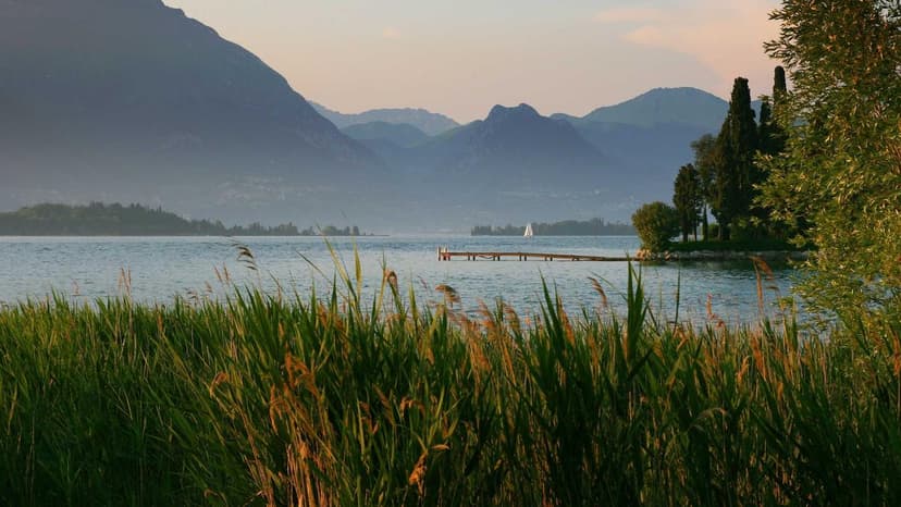 Iran Strikes Send Vip Dubai Influencers Back To Reality