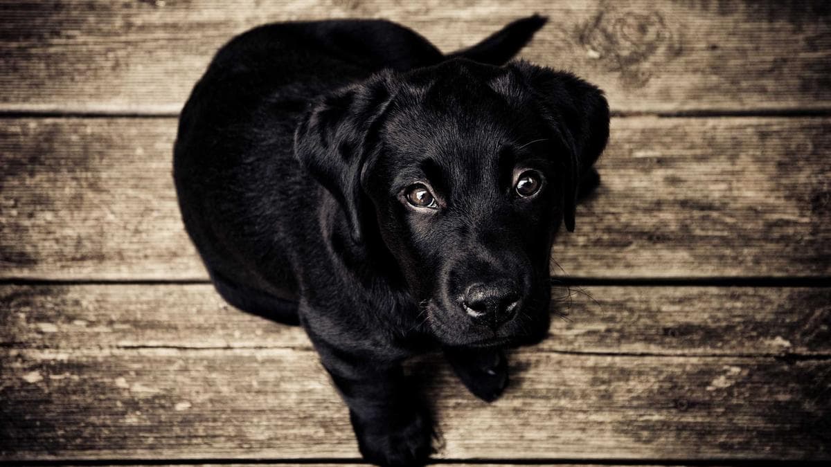 Irans Traders Frustrated By Economic Losses Turn Against Clerics