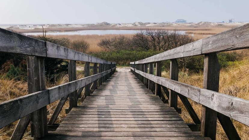 Iran War Snarls Key Global Hub For Fertilizer Supplies