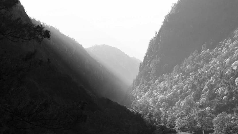 Kerala Techie's Resilience: From Accident to a Stronger Bond and a New Life in Canada