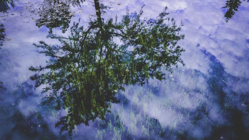 Sweet Heist: Nestle Reports 12 Tonnes of KitKat Stolen