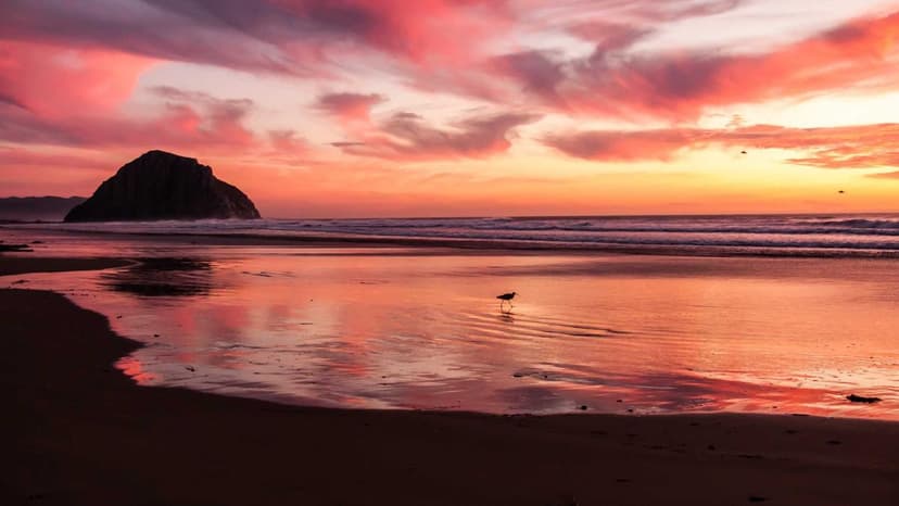 Landlord Ignoring Repair Requests? Here's What Tenants Can Legally Do If Maintenance Is Not Carried Out