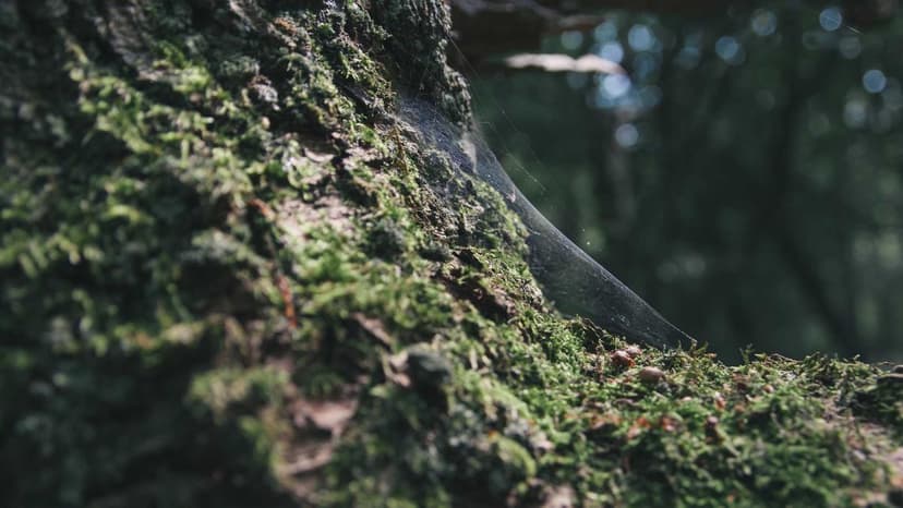 Worse Than Two 1970s Energy Crises Combined: IEA Chief Fatih Birol Flags Major Threat to Global Economy