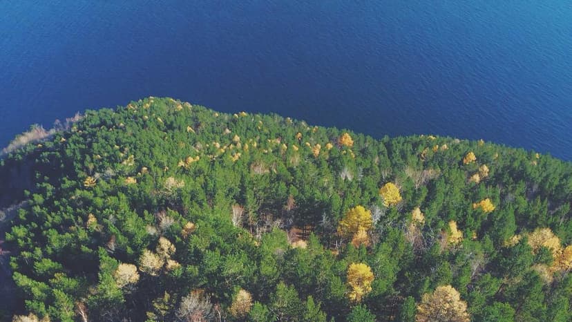 Oil at $90: 3 Reasons Why US-Israel Strikes on Iran One of India's Biggest Macro Worries