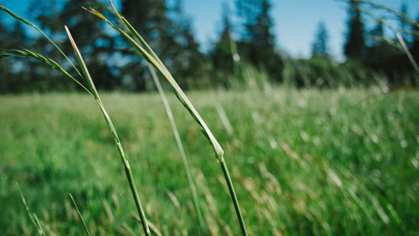 Oil Drops As US-Iran Pledge To Continue Talks