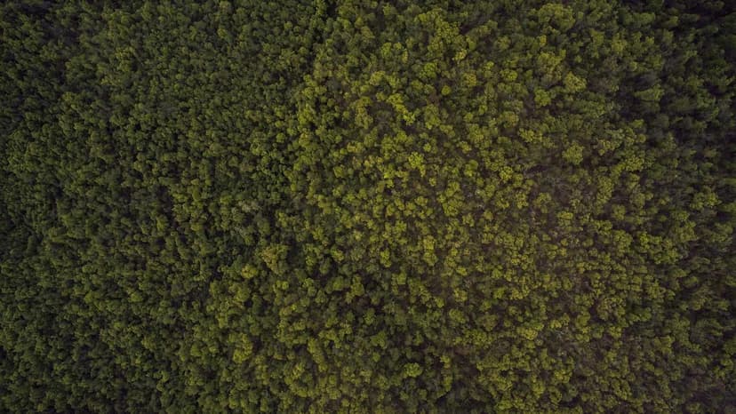 Oil Jumps To $105.15 A Barrel As US-Israel War Against Iran Enters Third Week