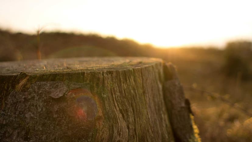 5 Reasons Why Oil Crossed $100 A Barrel Amid Iran War