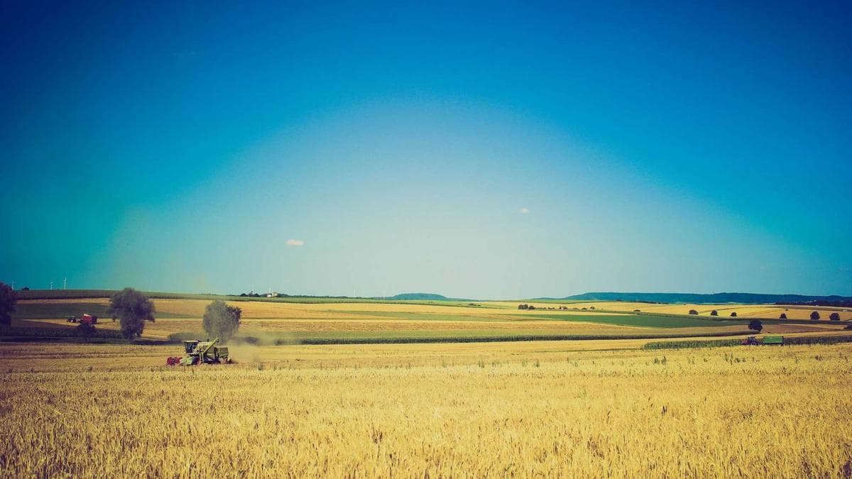 Oil Prices, Geopolitics, and the Global Economy: Navigating the Impact of the US-Israel-Iran Conflict