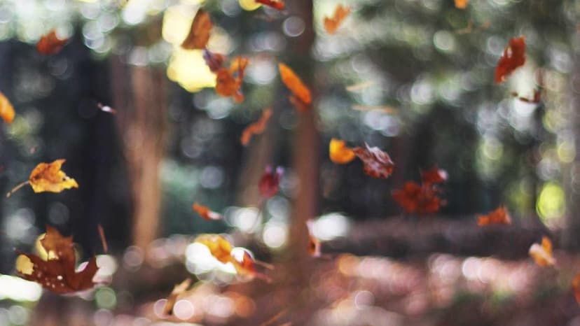 Oil Prices Rise 3% As US and Iran Extend Talks Into Next Week