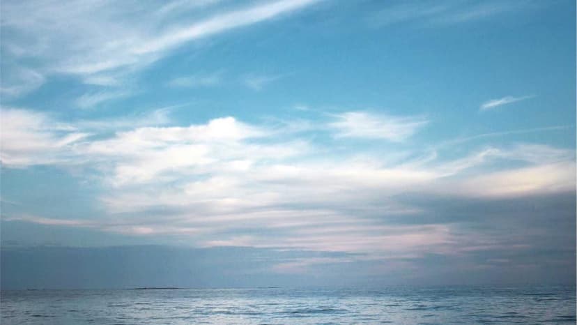 Oil Prices Surge to $101 a Barrel Amidst Geopolitical Tensions