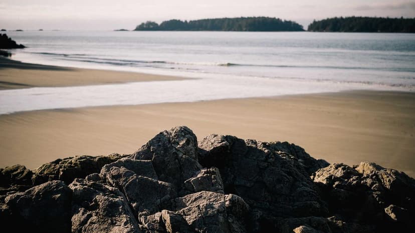 Should Long Term Investors Bet On Powerica IPO?