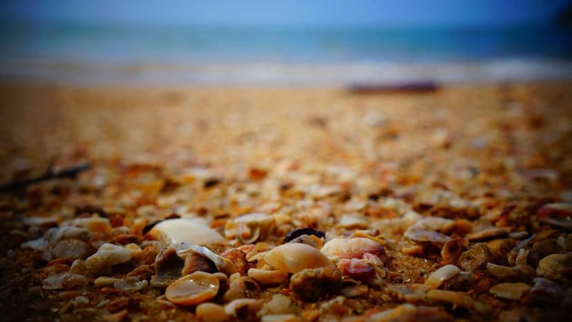 Puravankara To Launch Housing Projects Worth Over Rs 35kcr In 2-5yrs To Tap Demand