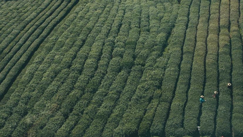 Putin Warns Oil Flow Through Strait of Hormuz Could Halt Within a Month as Iran War Triggers Energy Crisis