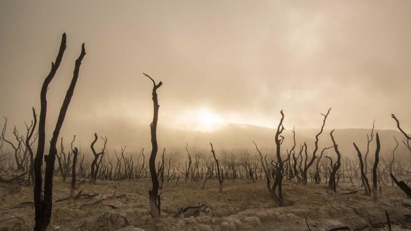 RBI Deploys $12 Billion to Defend Rupee as Iran Conflict Jolts Markets