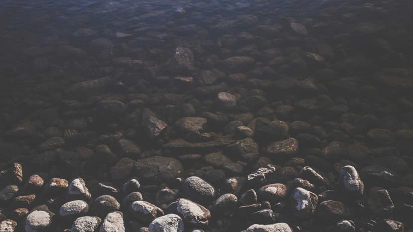 Redington Shares In Focus As Middle East War Disrupts Operations Of Gulf Subsidiary