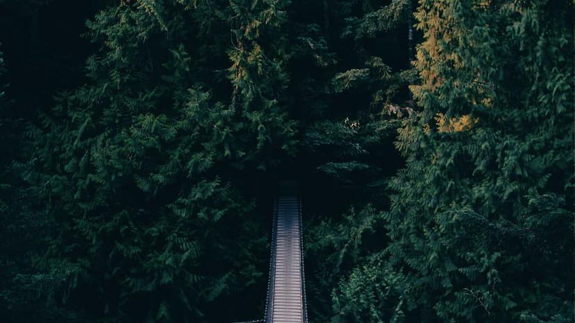 Will Sensex Nifty React Amid Escalating Middle East War After Khamenei's Killing?