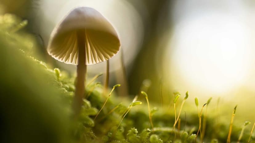 2 Small Cap Defence Stocks Tipped To Lead India's Rs 1.85 Lakh Crore Acquisition Boom